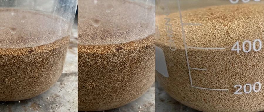 0425-1-2.jpg 0425-1-2.jpg